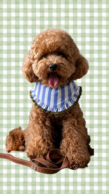 Riviera Pet Bandana