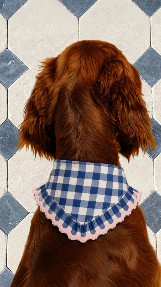 Sunday Picnic Pet Bandana